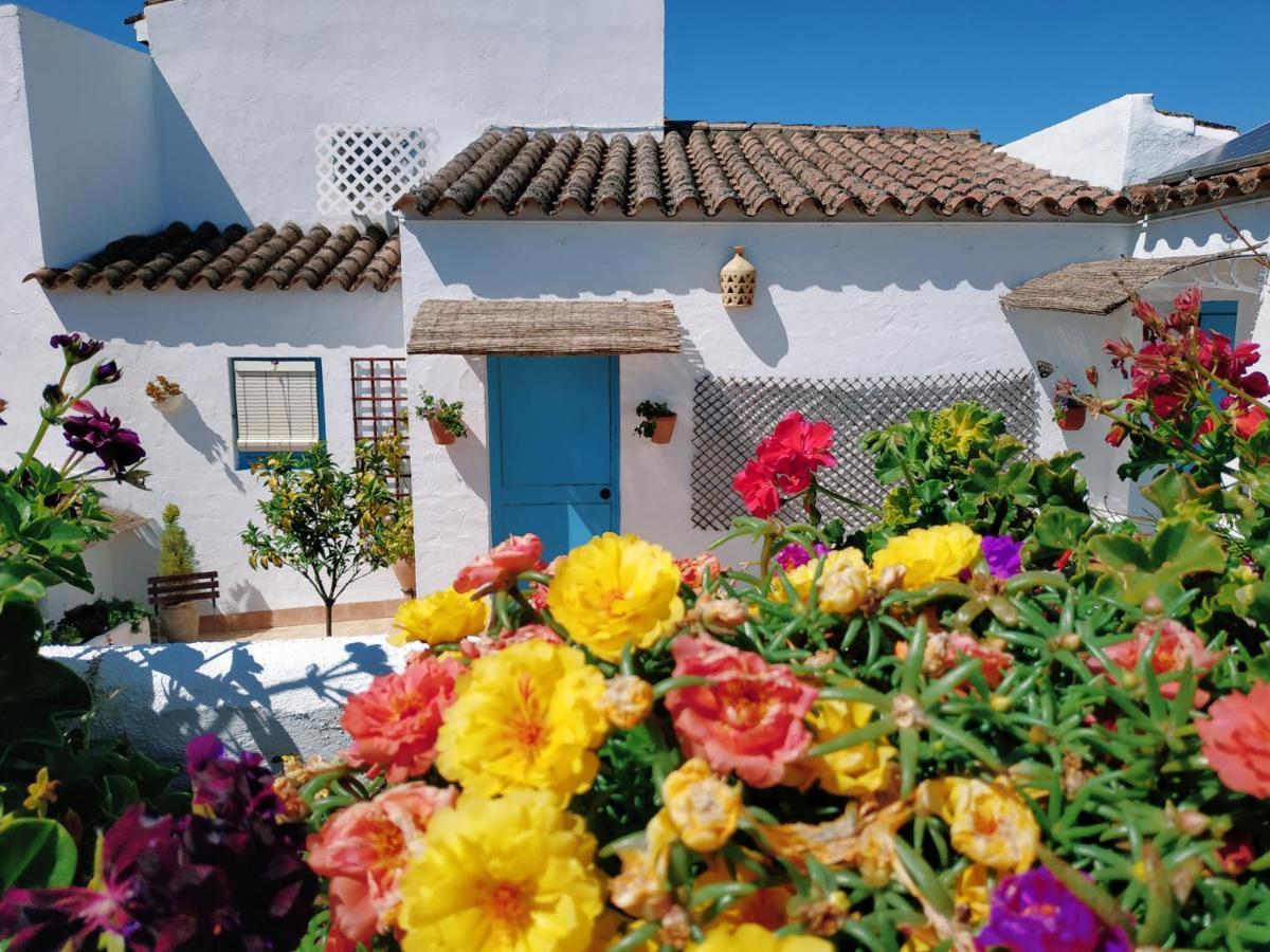 아르코스델라프론테라 Casa Campana B&B 외부 사진